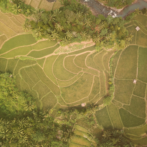 kross-gestiones-agricultura-servicios-cordoba